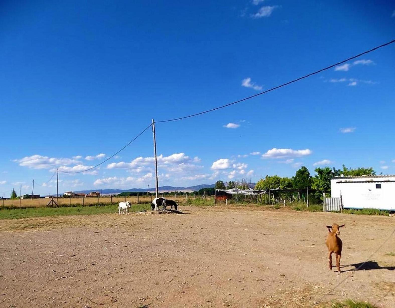Masia Los Camineros Cella Luaran gambar